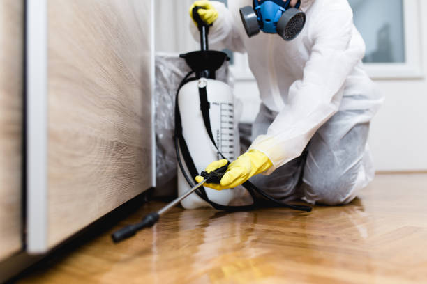 Best Residential Pest Control  in Chatham, IL