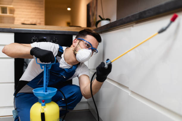 Best Best Pest Control Companies  in Chatham, IL