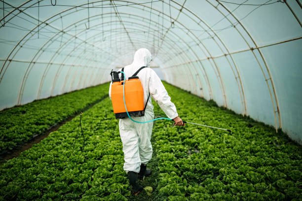 Pest Control Cost in Chatham, IL