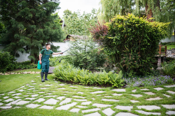 Best Affordable Pest Control Services  in Chatham, IL