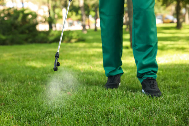 Reliable Chatham, IL Pest Control Solutions