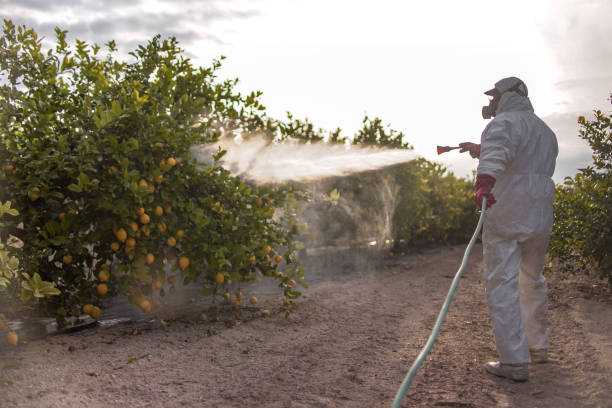 Best Pest Removal Services  in Chatham, IL