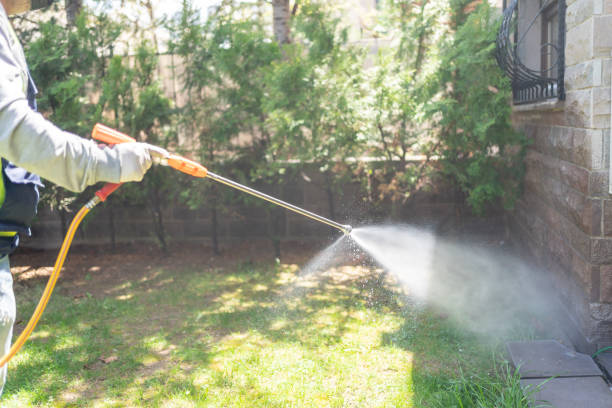 Best Best Pest Control Companies  in Chatham, IL