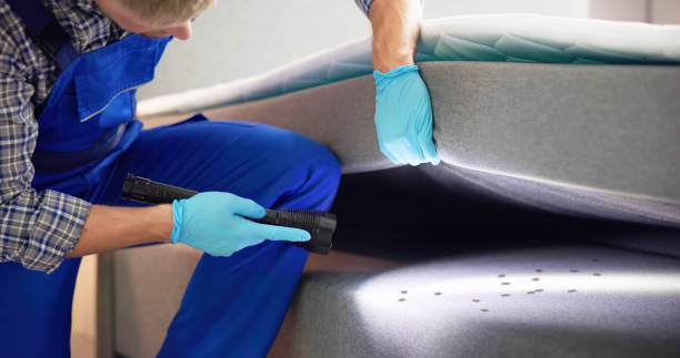 Pest Prevention Services in Chatham, IL