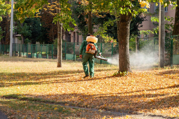 Best Wildlife Control Services  in Chatham, IL
