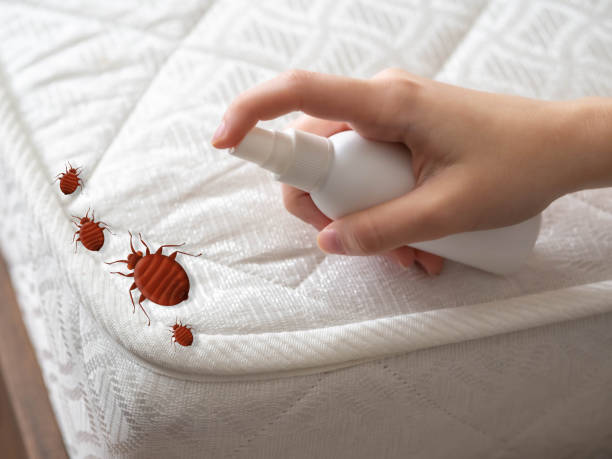Best Pest Prevention Services  in Chatham, IL