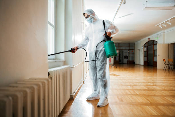 Best Pest Control for Homes  in Chatham, IL