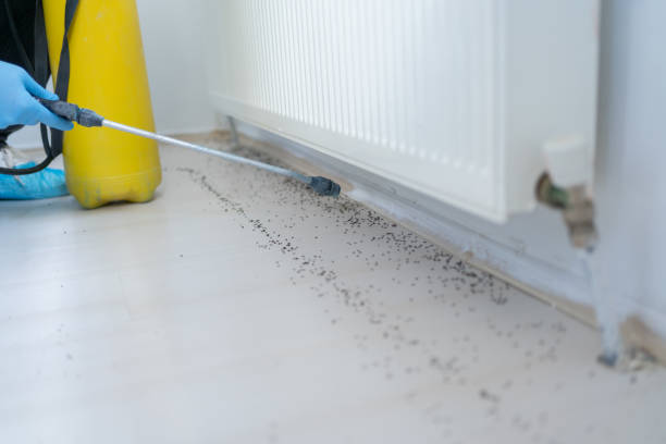 Best Emergency Pest Control  in Chatham, IL