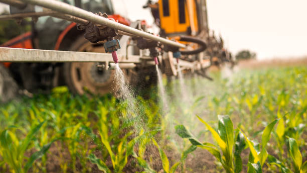 Best Insect Control  in Chatham, IL